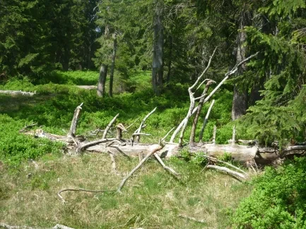 Škola v přírodě_2. A_část 1