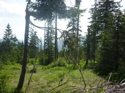 Škola v přírodě_2. A_část 1