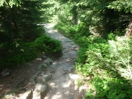 Škola v přírodě_2. A_část 1