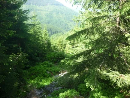 Škola v přírodě_2. A_část 1