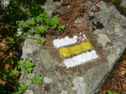 Škola v přírodě_2. A_část 2