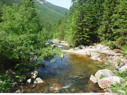 Škola v přírodě_2. A_část 2