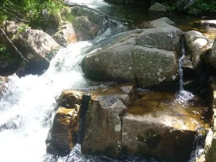 Škola v přírodě_2. A_část 2