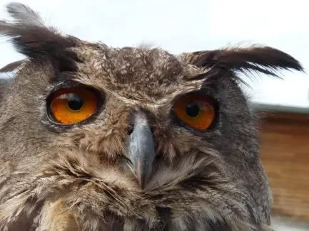 Den církevního školství - 1. A, 2. B