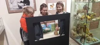Výstava retrohraček_Muzeum VČ_3. A